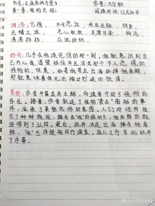 海底两万里摘抄感悟_1
