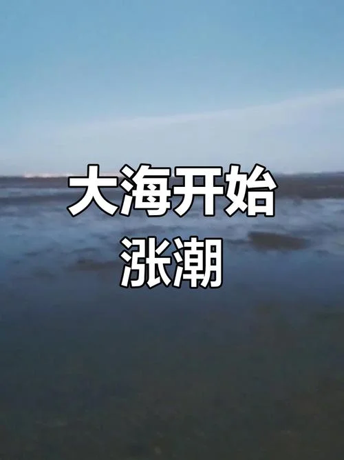 梦到涨潮浪很大-梦见大潮汹涌