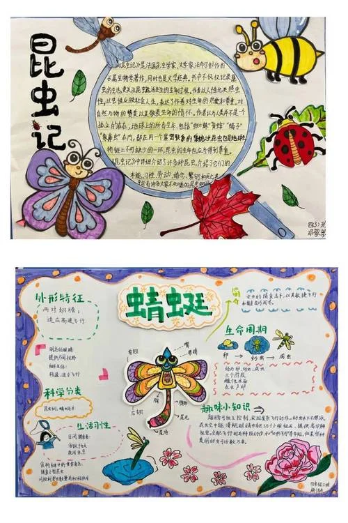 秘密花园明白的道理_1