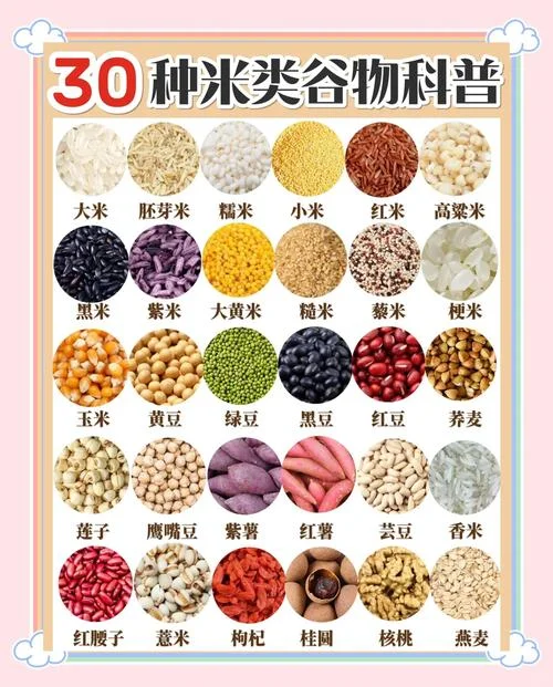 米的定义与历史变迁-米的定义与历史