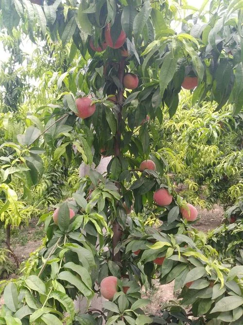焦作到沁阳市多少公里_2