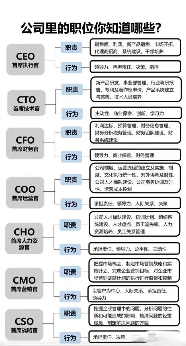 ceo是在公司做什么的_2