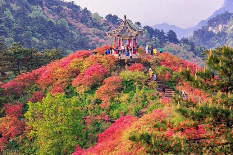 麻城旅游必去景点_2