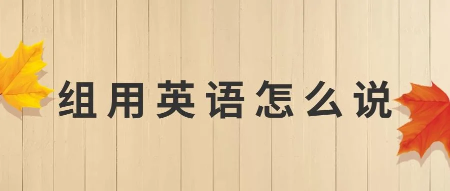 组织用英语怎么说-组织用英语怎么说