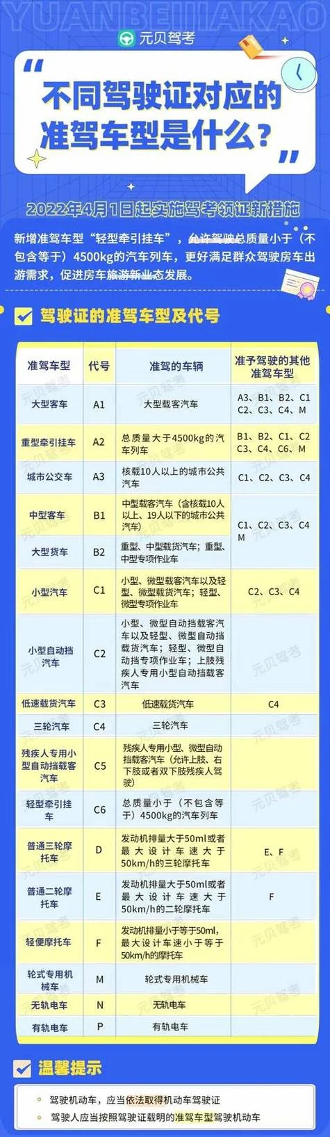 公交车驾照报名条件_2