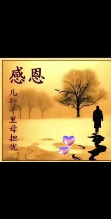儿行千里母担忧的感悟-千里儿行母心忧