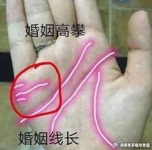 不缺钱的手相图片_1