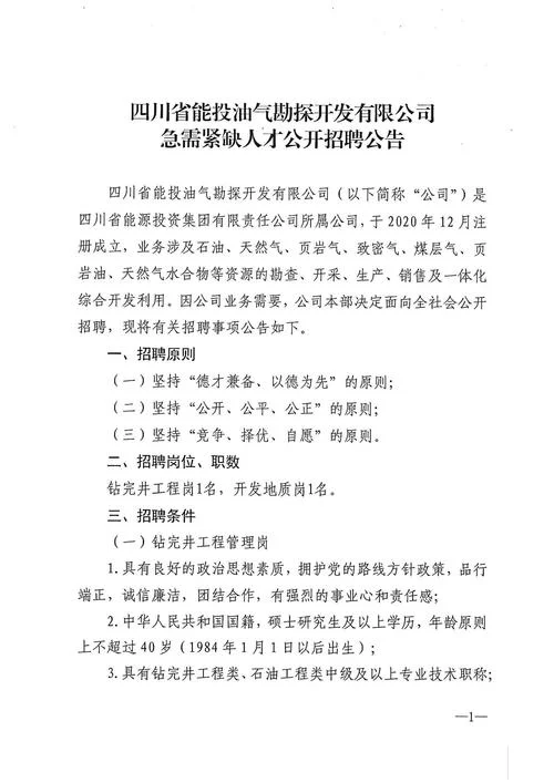 四川项目投资平台_2