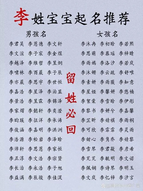 李姓2020男孩起名字-李姓 2020 男孩起名