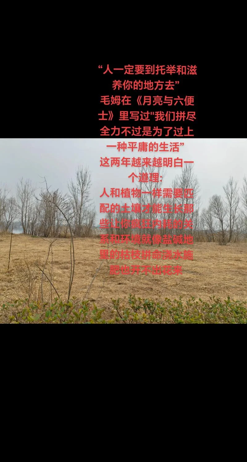 田园生活语录感悟_2