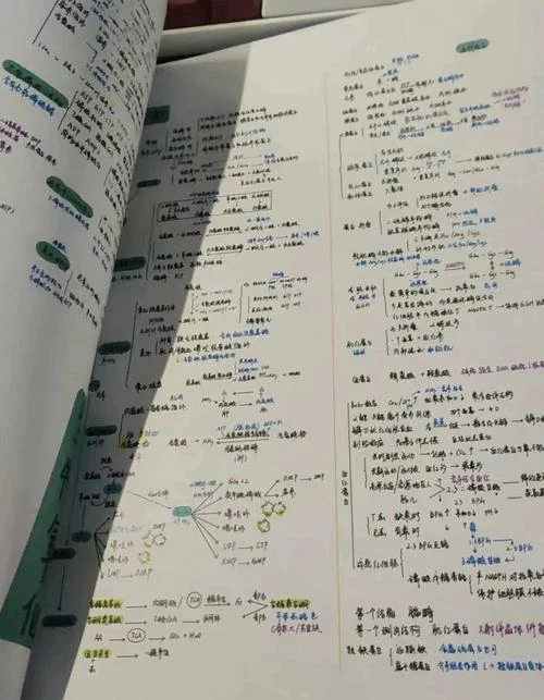 考研生物化学 百度网盘-考研生化百度网盘