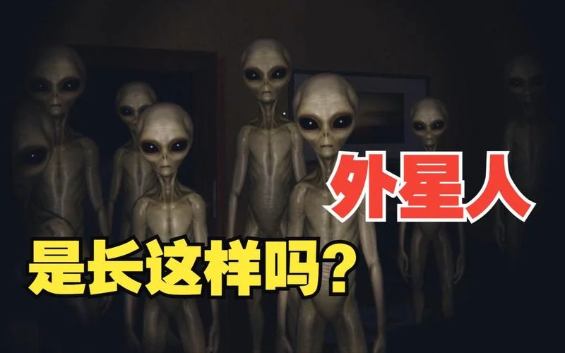 小灰人感悟_1
