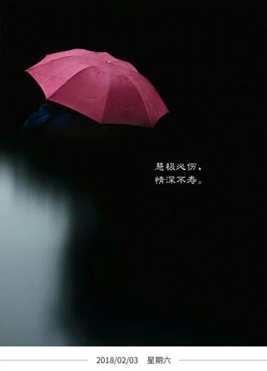 情深不寿慧极必伤感悟-情深不寿慧极必伤