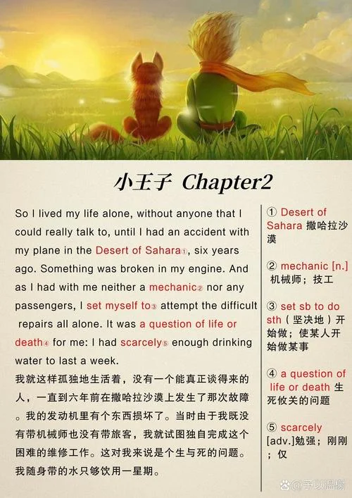英文小说小王子读后感-英文小说《小王子》读后感