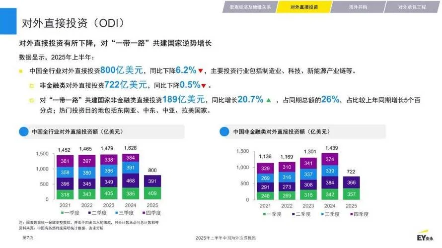 境外投资项目管理_2