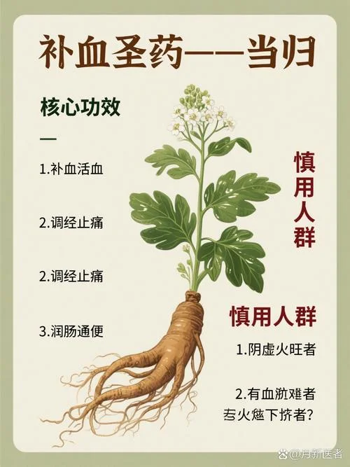 当归补血汤出自哪里_2