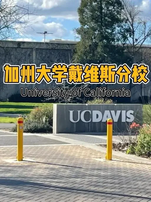 申请美国加州大学-申请美国加州大学