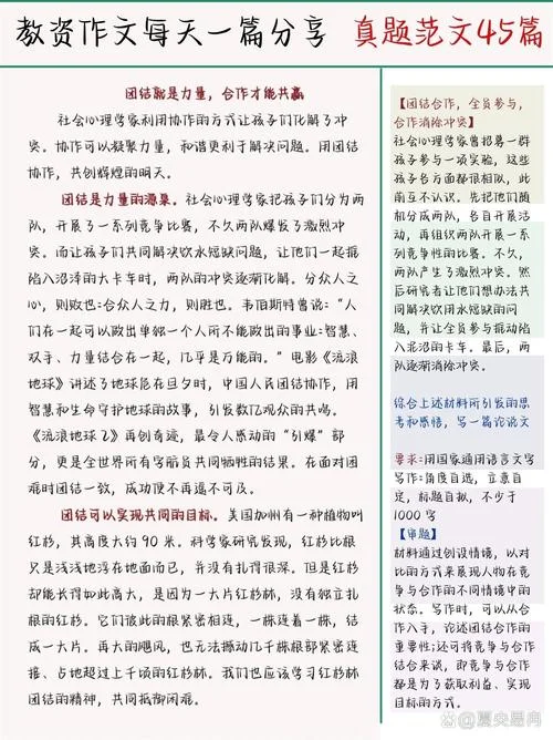 团结合作重要性的感悟-团结合作感悟