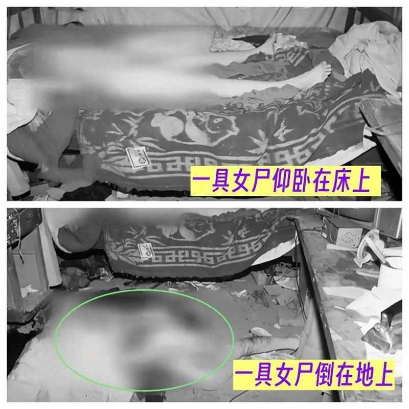 临安中学杀人案-临安中学命案