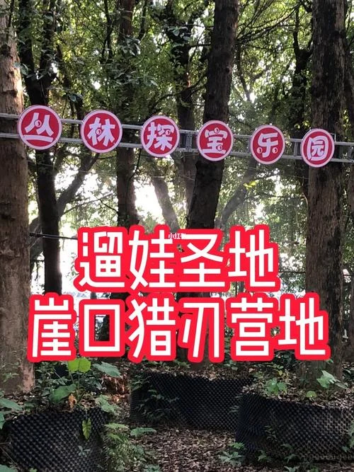 丛林探宝苹果版叫什么_2