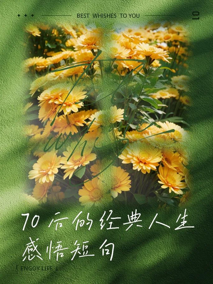 70后的人生感悟美文_1