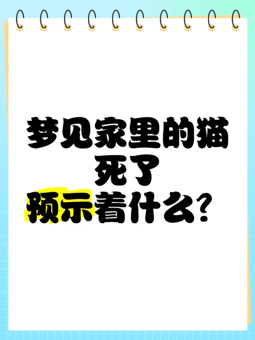 梦到家里有好多猫-梦中家猫成群