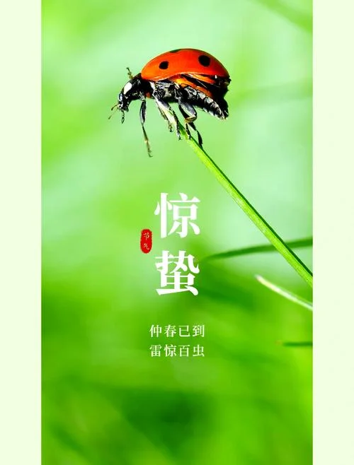 23年惊蛰是几月几号_1