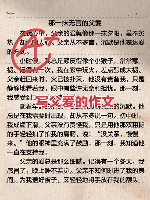 父亲的付出感悟_1