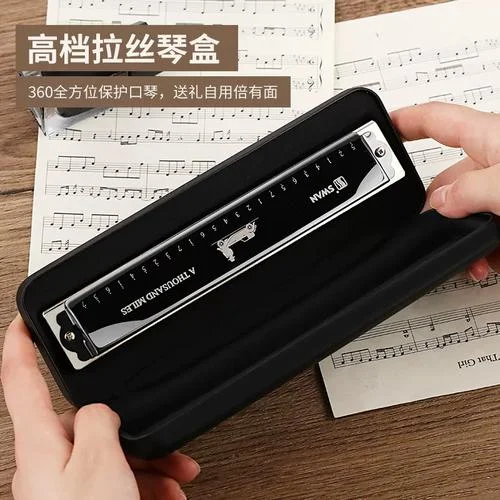 口琴十大品牌排名_2