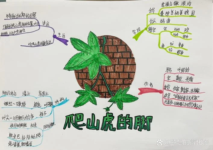 爬山虎的脚的作者是谁_1