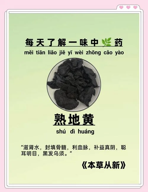 黄芪地黄汤 出处_1