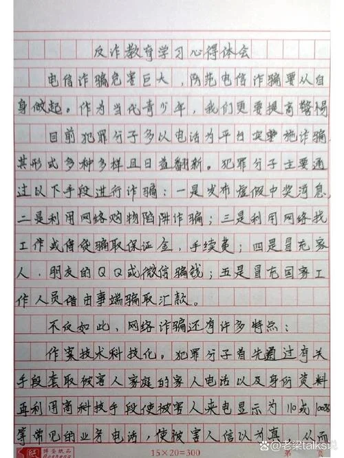 公安工作心得体会500字_1