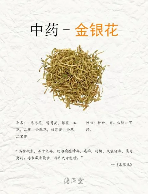 金银花一亩利润多少钱-一亩金银花利润多少