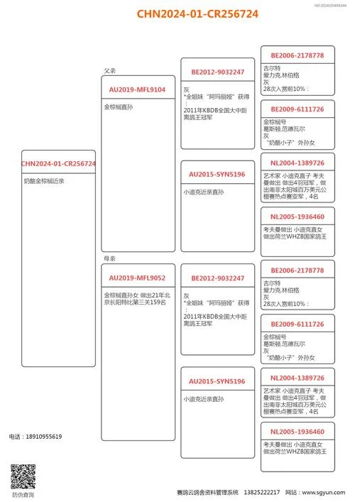 查鸽子环号成绩怎么查_1