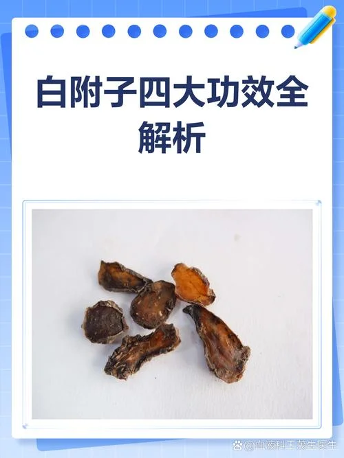 白附子别名叫什么_1