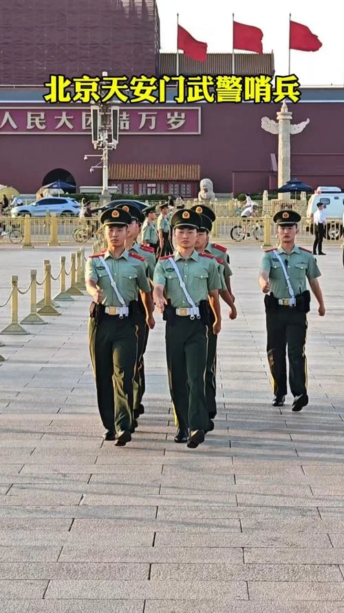 武警是干什么的工作_1
