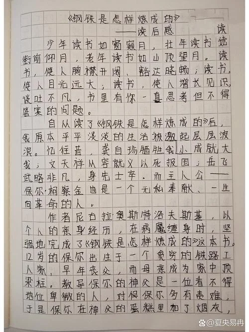 钢铁是怎样炼成的感悟_1