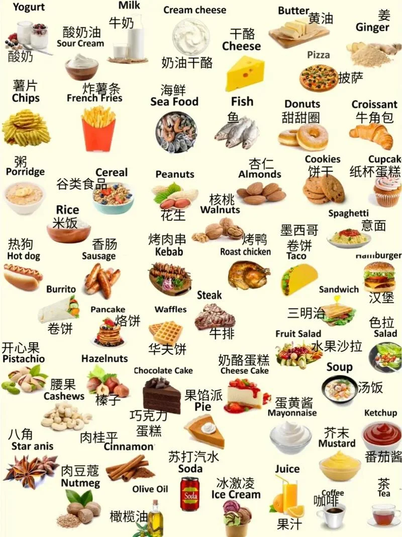 食物的用英语怎么说-食物的英文怎么说