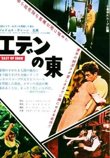伊甸园之东剧情介绍-《伊甸园之东》剧情概述