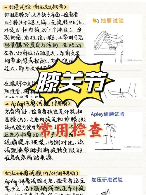 关节痛要检查什么项目_2