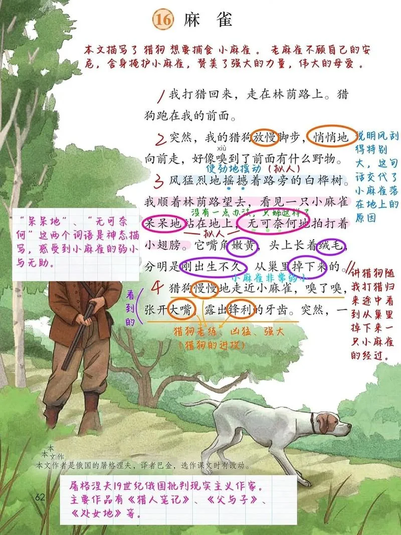 麻雀的作者是谁_1