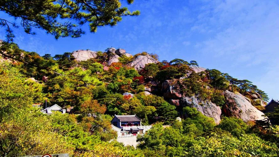 海千山千什么意思_1