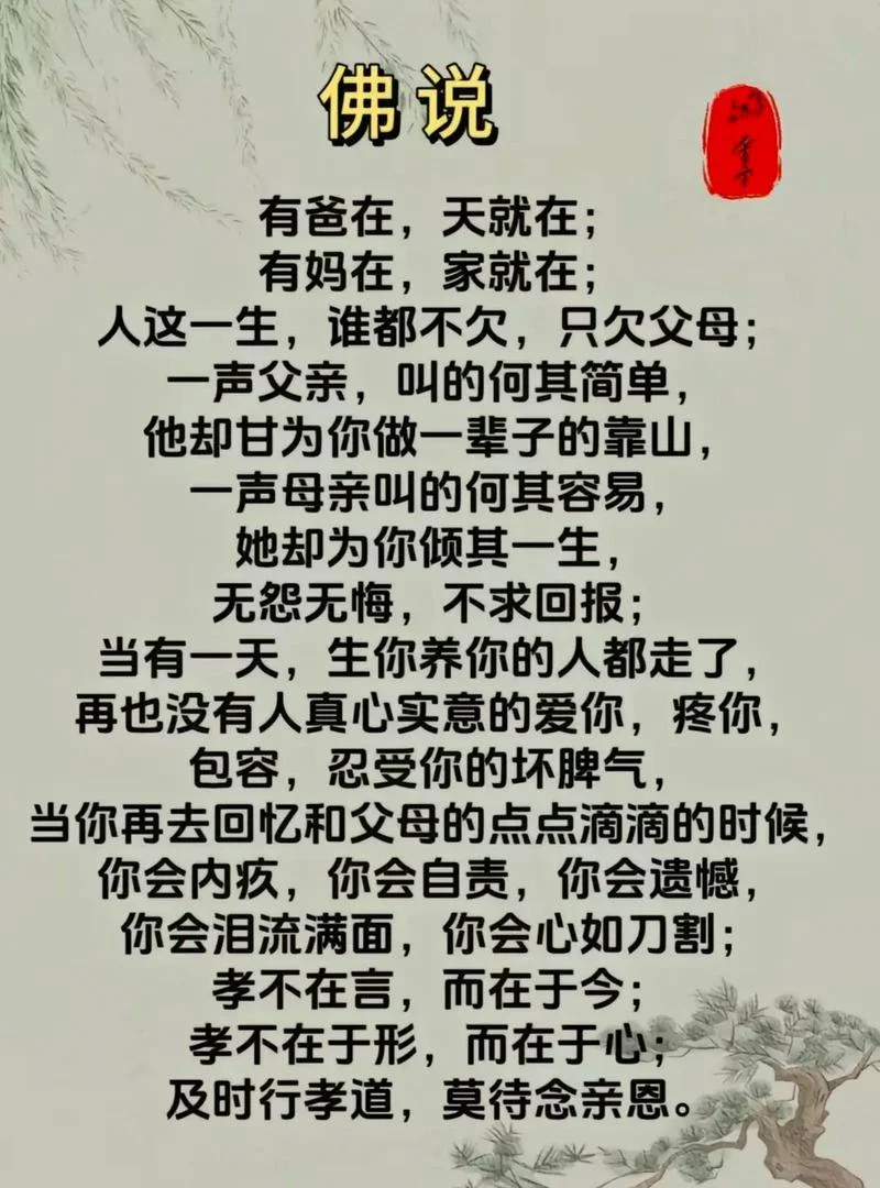 尽孝要趁早的感悟_1