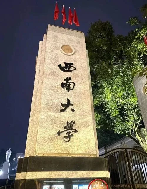 2019西南大学考研成绩_1