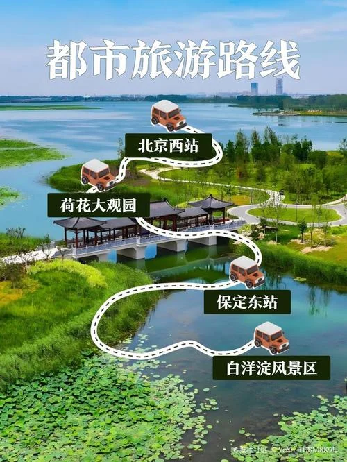 白洋淀旅游攻略-白洋淀游玩指南
