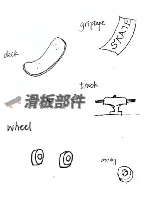 滑板怎么学ollie-滑板 ollie 学习