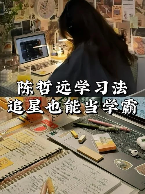 成绩与问题并存-成绩问题并存