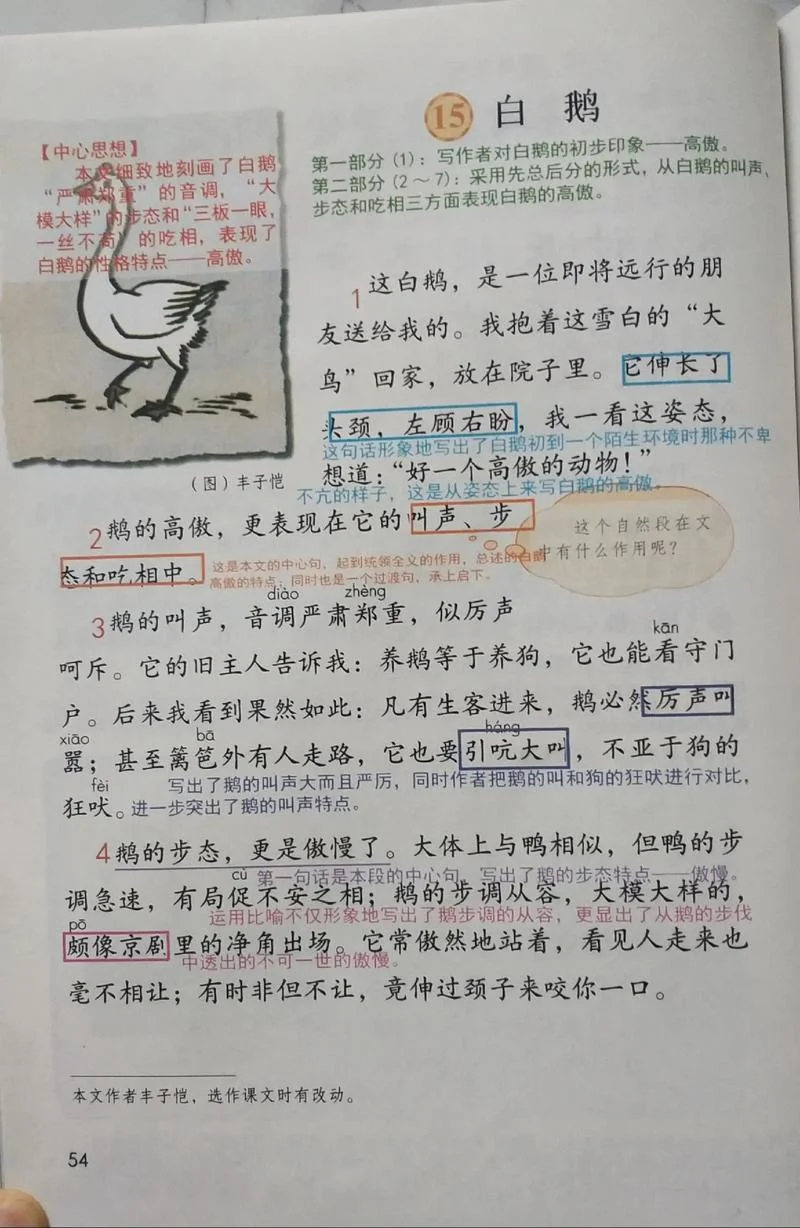 鹅的作者是谁写的课文_2