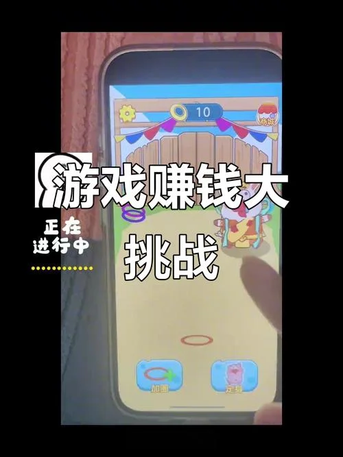 赚钱小项目 手机_2