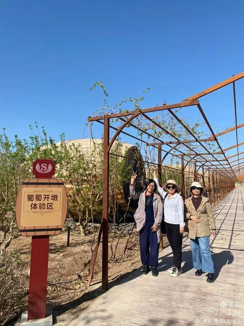 新疆酒庄旅游景点大全-新疆酒庄旅游全攻略